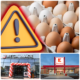 Ouă bio retrase din Kaufland și Mega Image din cauza riscului de Salmonella