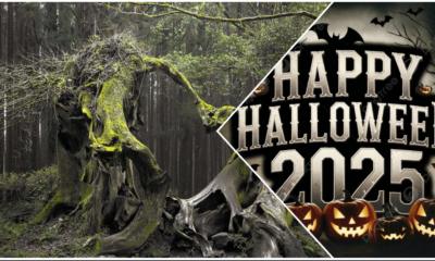 Tur de Halloween în Pădurea Hoia-Baciu, experiență gotică în Cluj