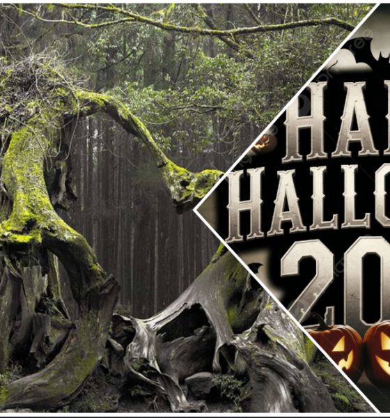 Tur de Halloween în Pădurea Hoia-Baciu, experiență gotică în Cluj