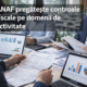 ANAF pregătește controale fiscale pe domenii de activitate